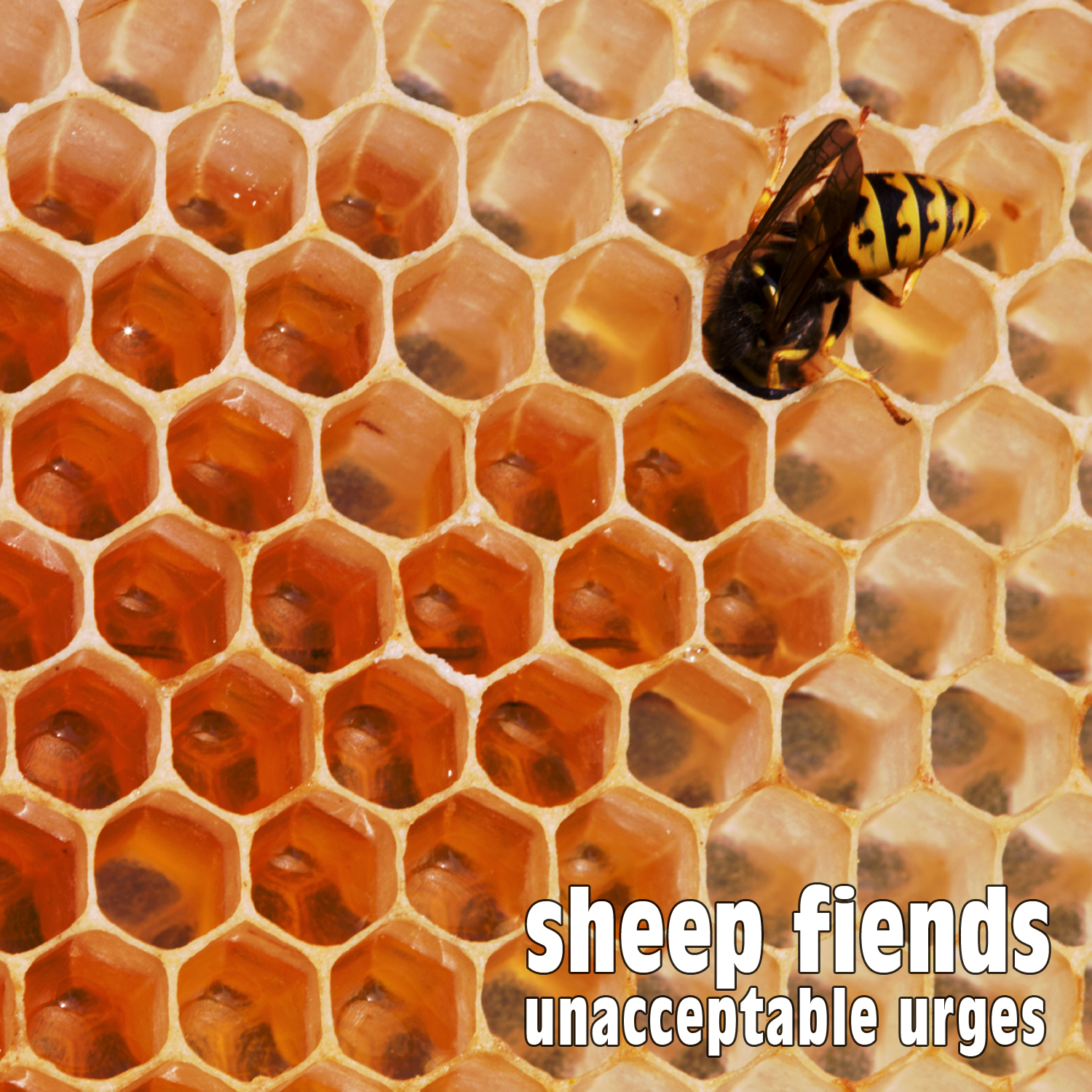Sheep Fiends - Unacceptable Urges cover art